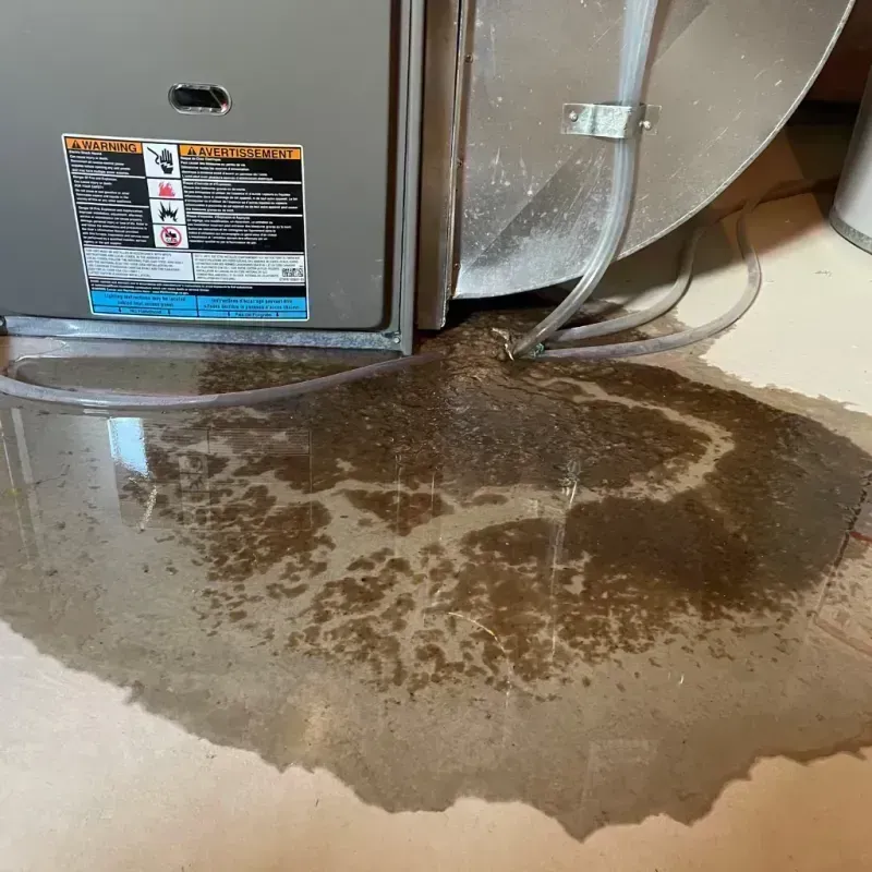 Appliance Leak Cleanup in Menasha, WI